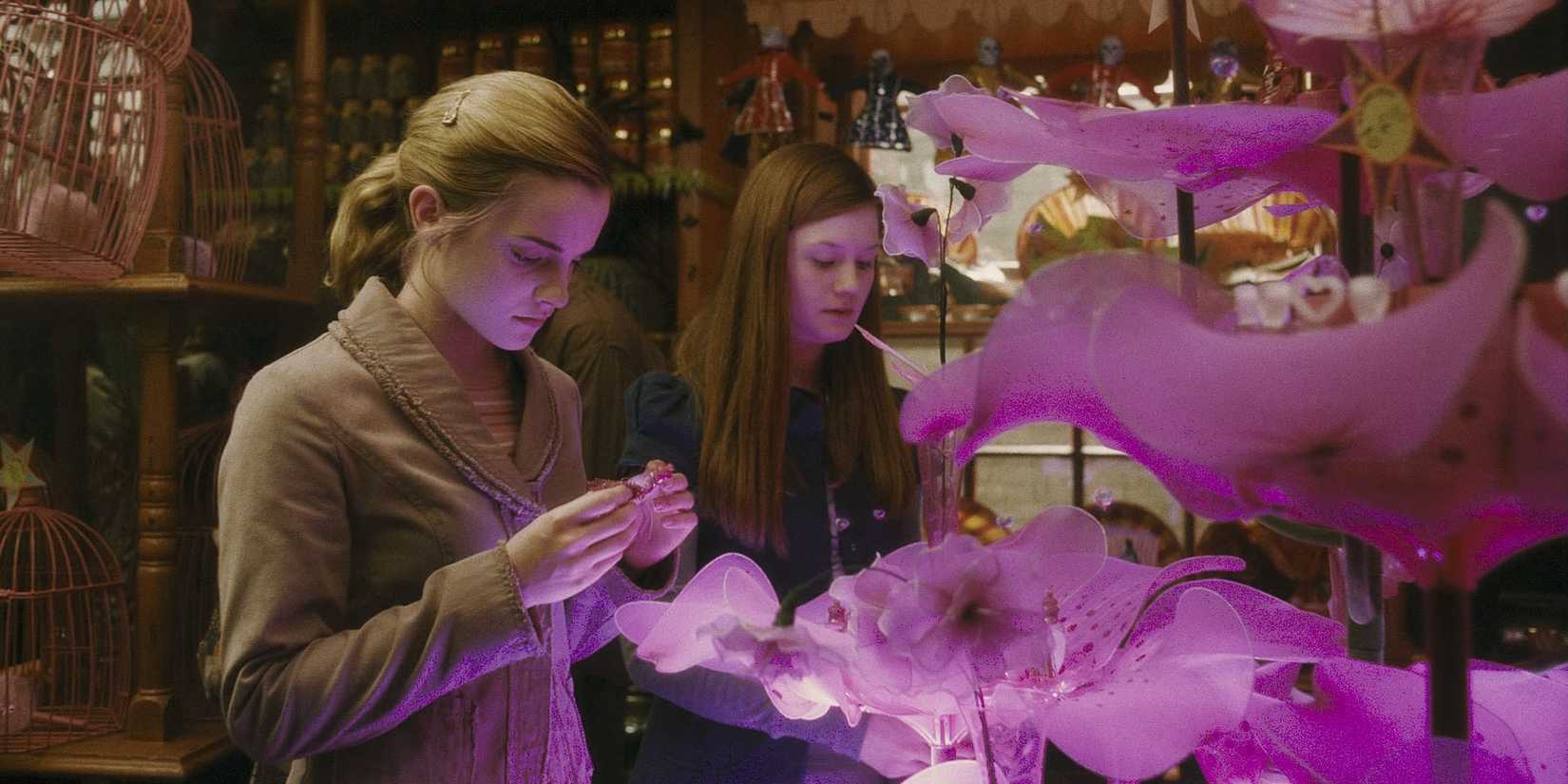 Hermione and Ginny look at love potions