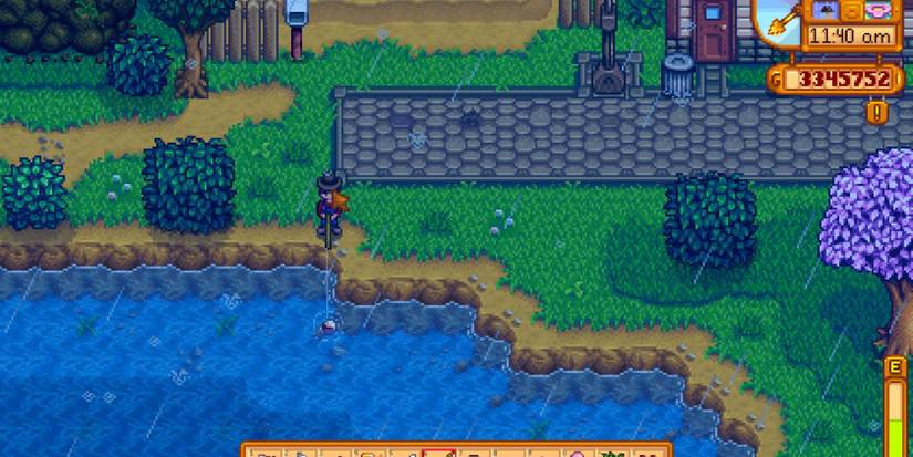 where to catch a shad stardew valley