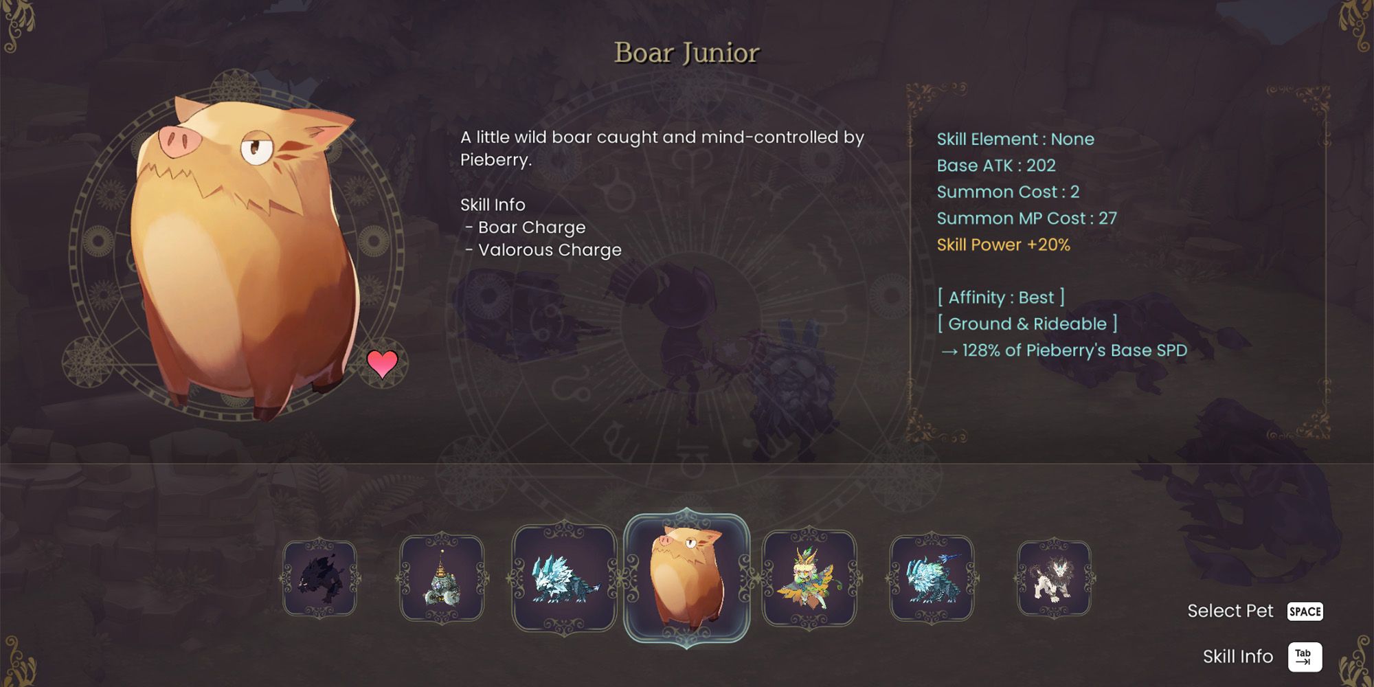 WitchSpring R Pet Boar Junior