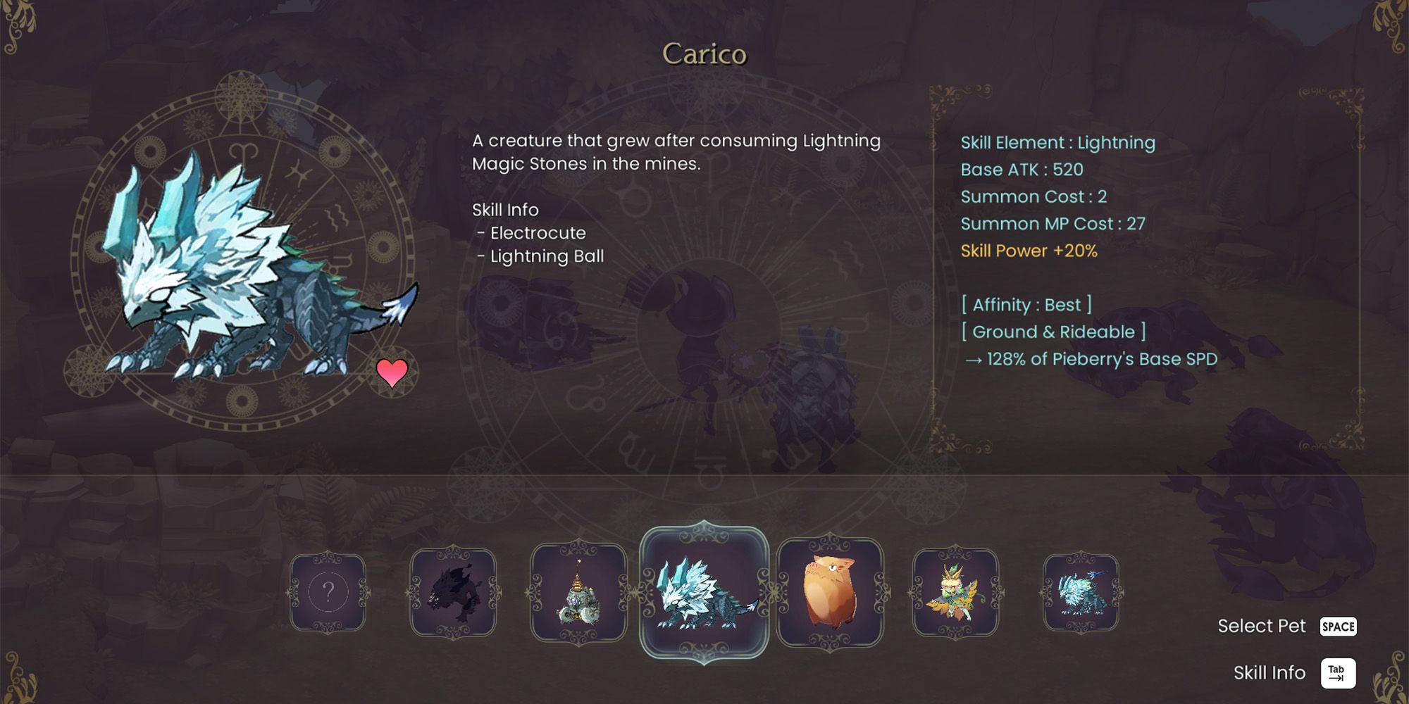 WitchSpring R Pet Carico