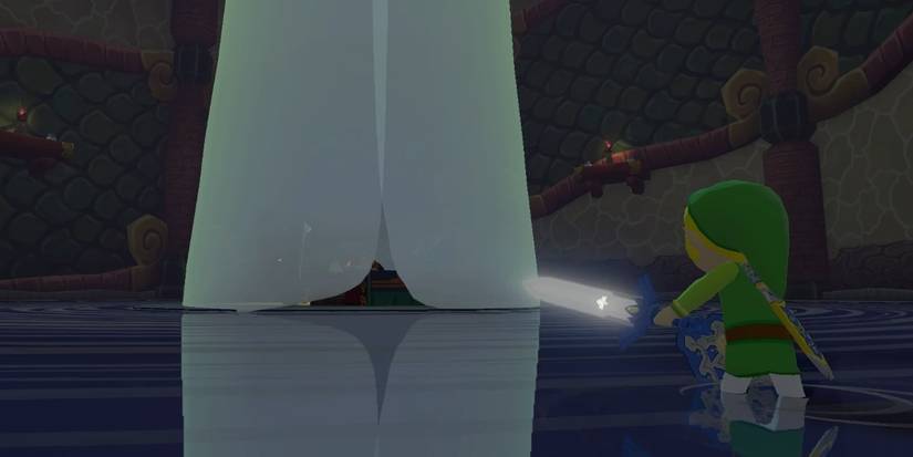 link approaching zelda in ganon's castle