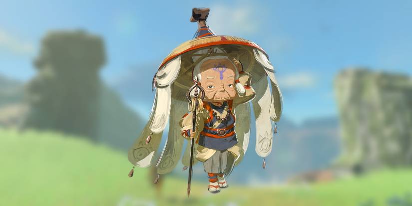 Zelda Tears of the Kingdom Clip Reveals What Happens if Players Never Leave the Hot Air Balloon With Impa