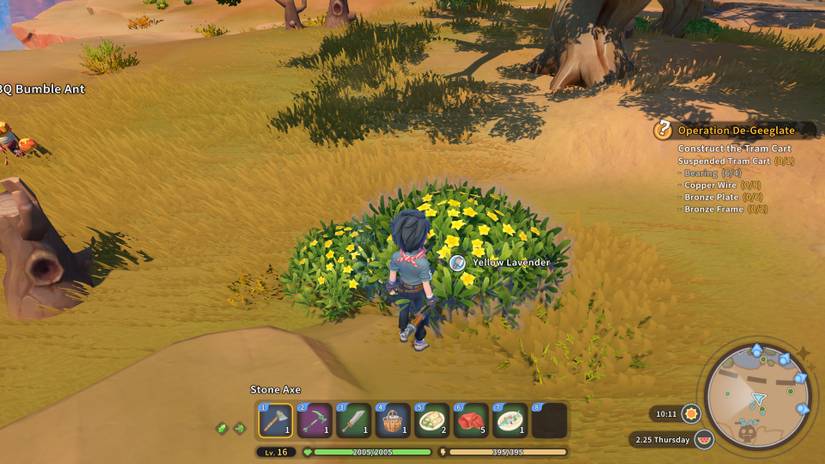 A Yellow Lavender Bush in My Time At Sandrock