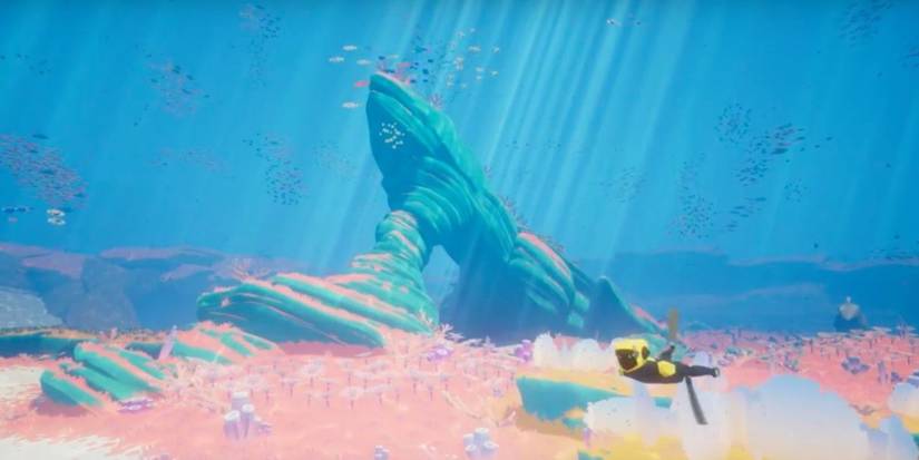 the diver exploring a coral reef with a beautiful rock formation