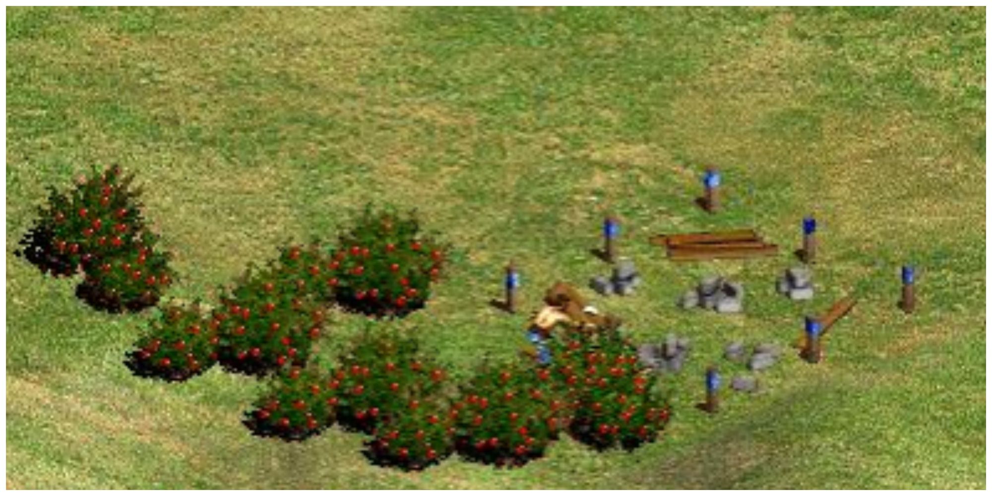Age of Empires Berries