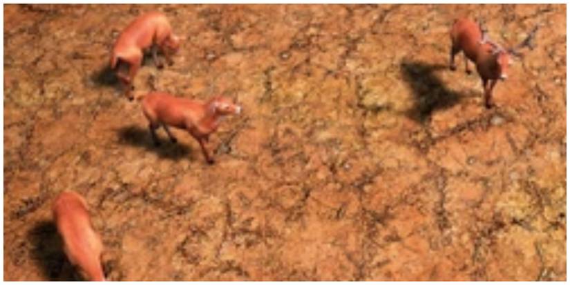 Age of Empires Deer