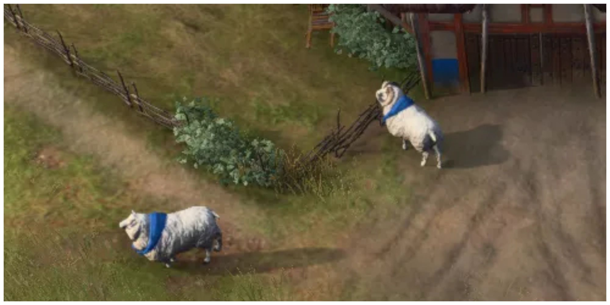 Age of Empires Farming Sheep