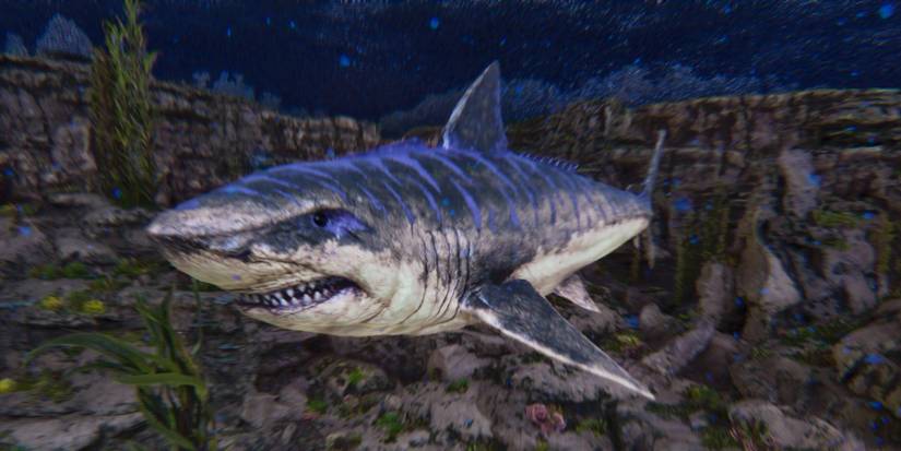 ARK Survival Ascended Megalodon
