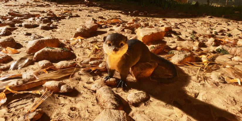 ARK Survival Ascended Otter