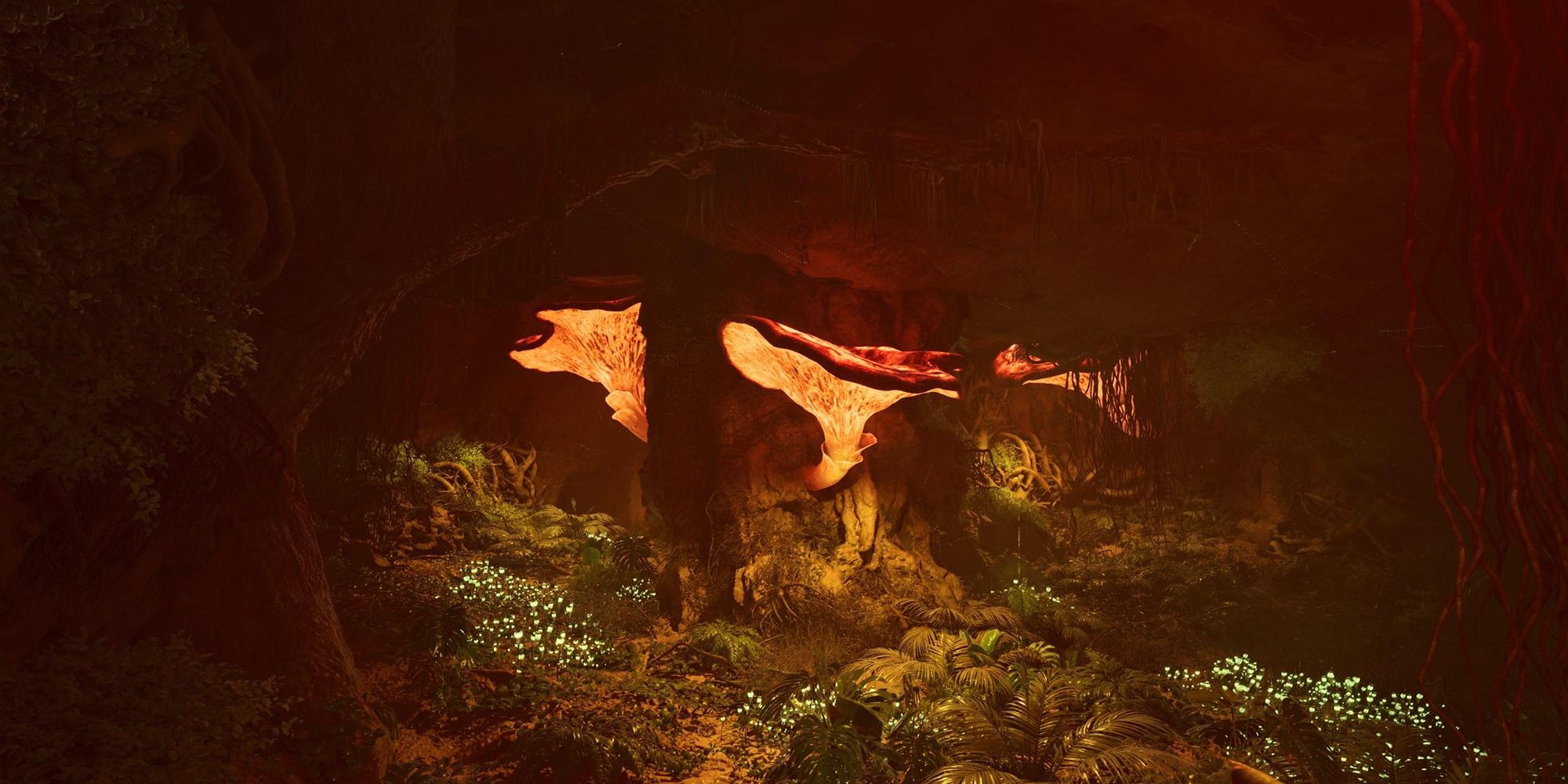 ARK Survival Ascended Pack Cave