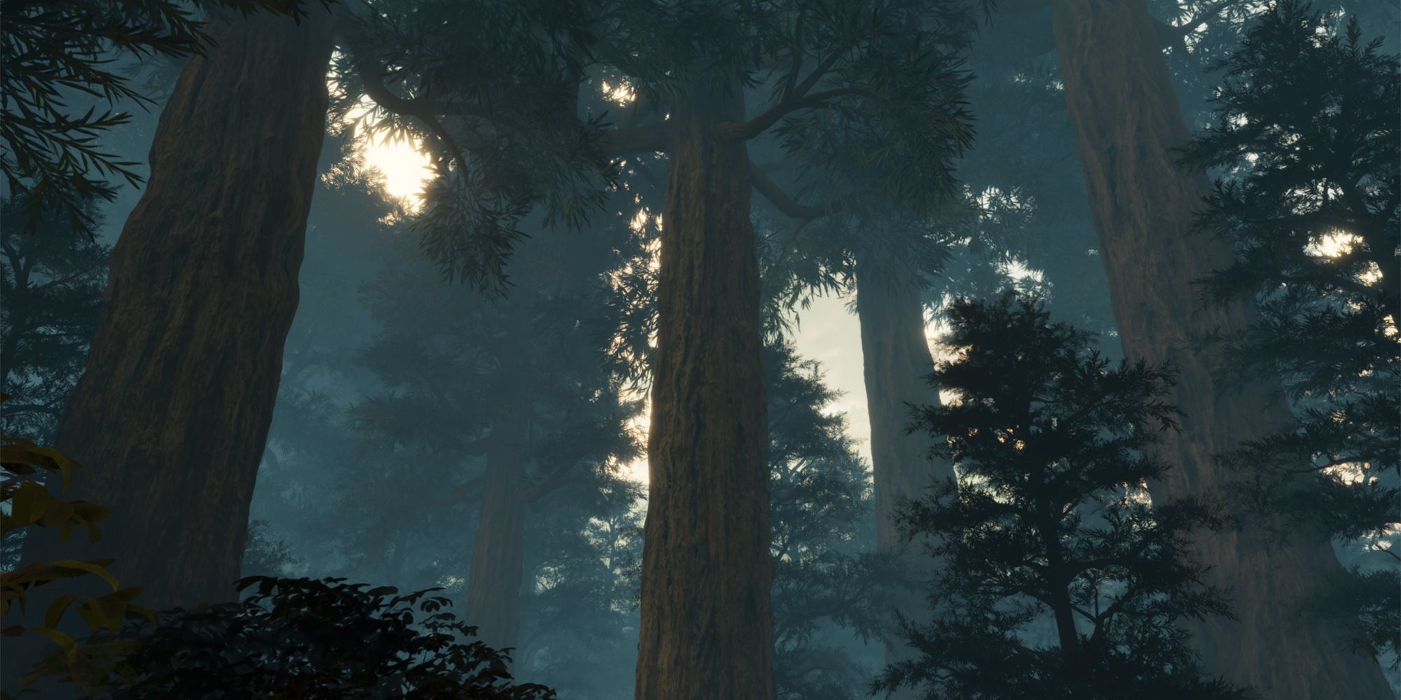 ARK Survival Ascended Redwood Forest