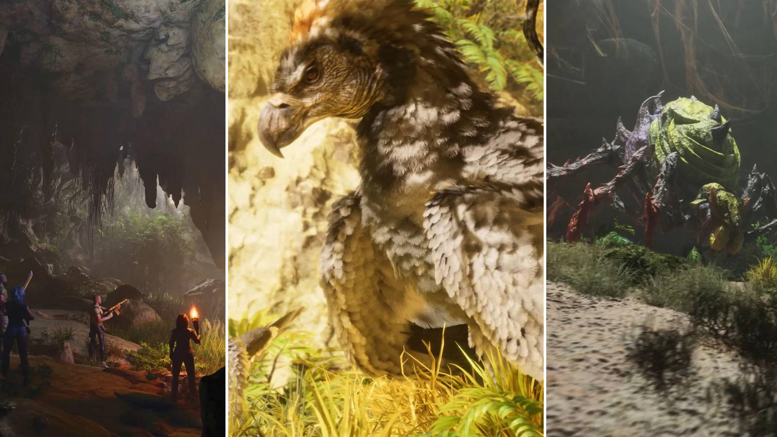 ARK Survival Ascended Tips Newcomers