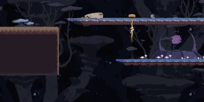 Risk of Rain Returns: Artifact of Distortion