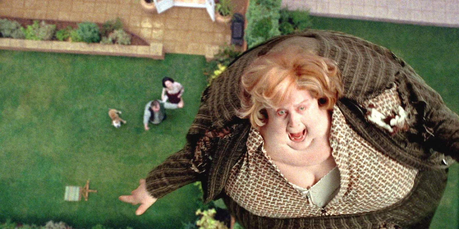 Aunt Marge, Harry Potter