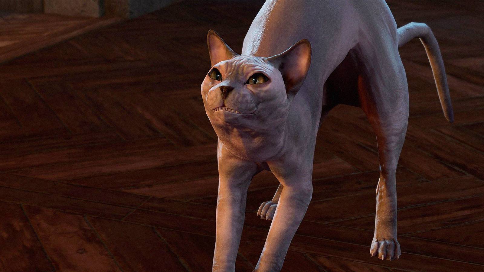 baldur's gate 3 cat adoption bonecloak apothecary malta myshka derryth