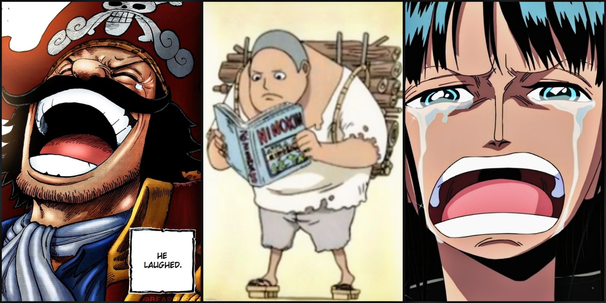 Best Flashbacks One Piece
