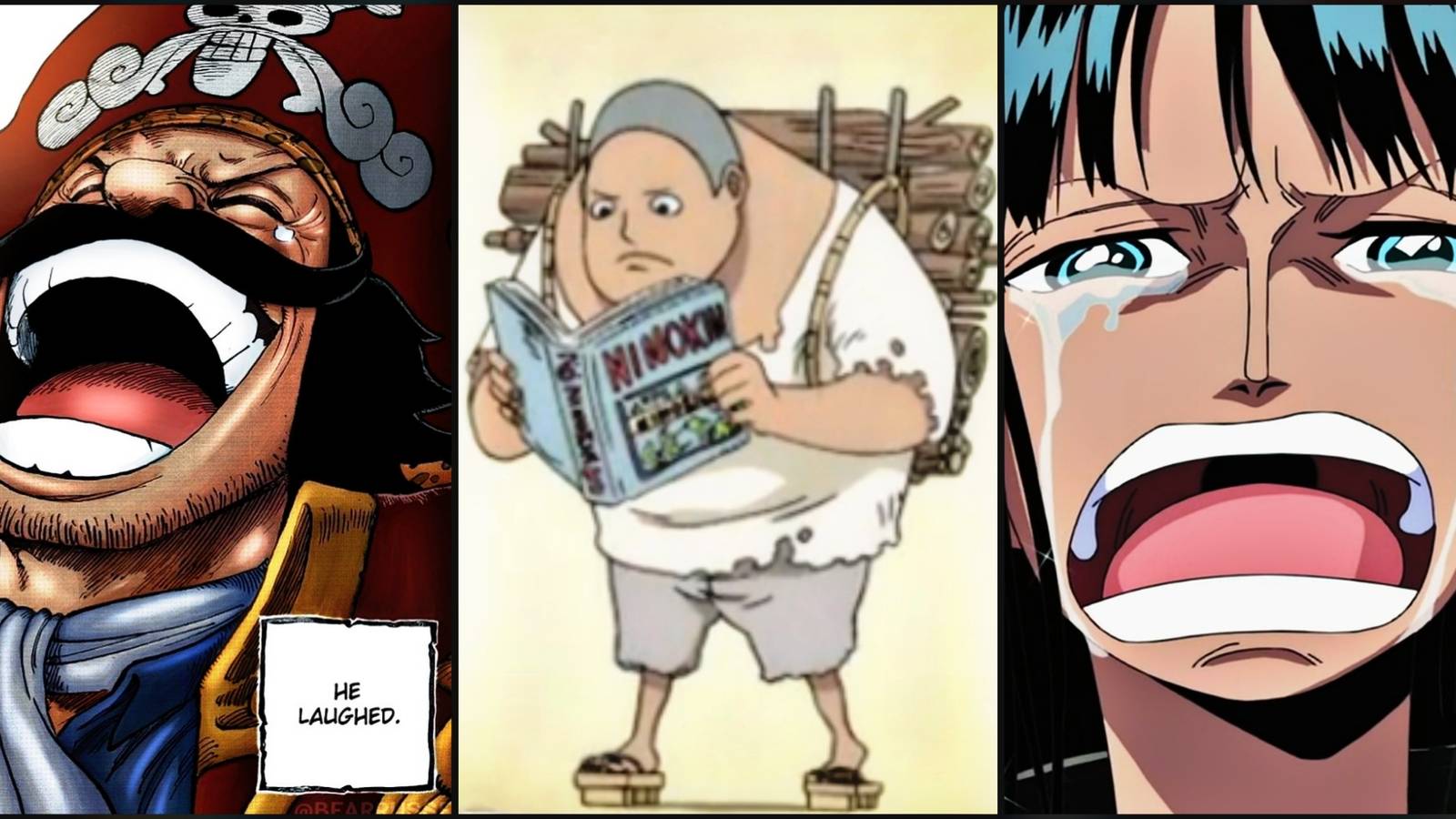 Best Flashbacks One Piece