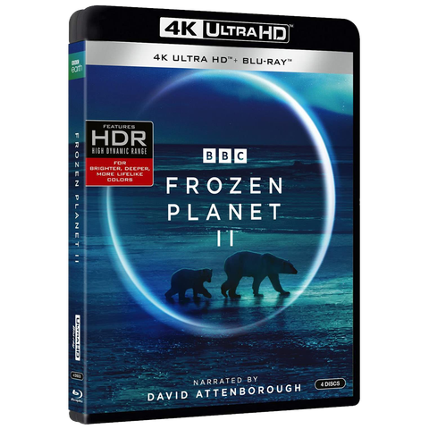 Best Movie and TV 4K of 2023 Frozen Planet II