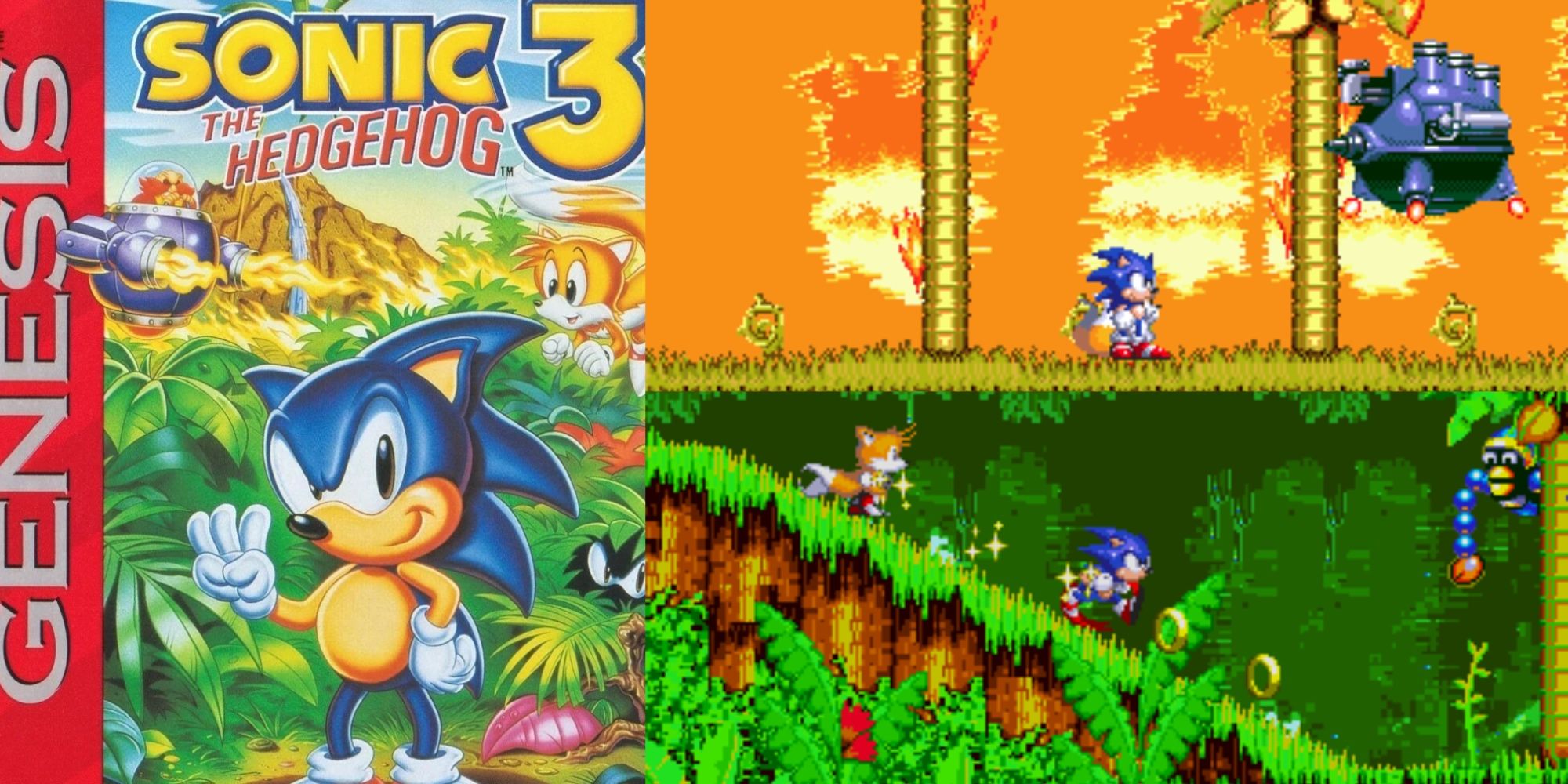 screenshots and cover art for Sonic the hedgehog 3 1994