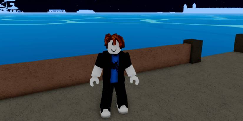 Blox Fruits: character