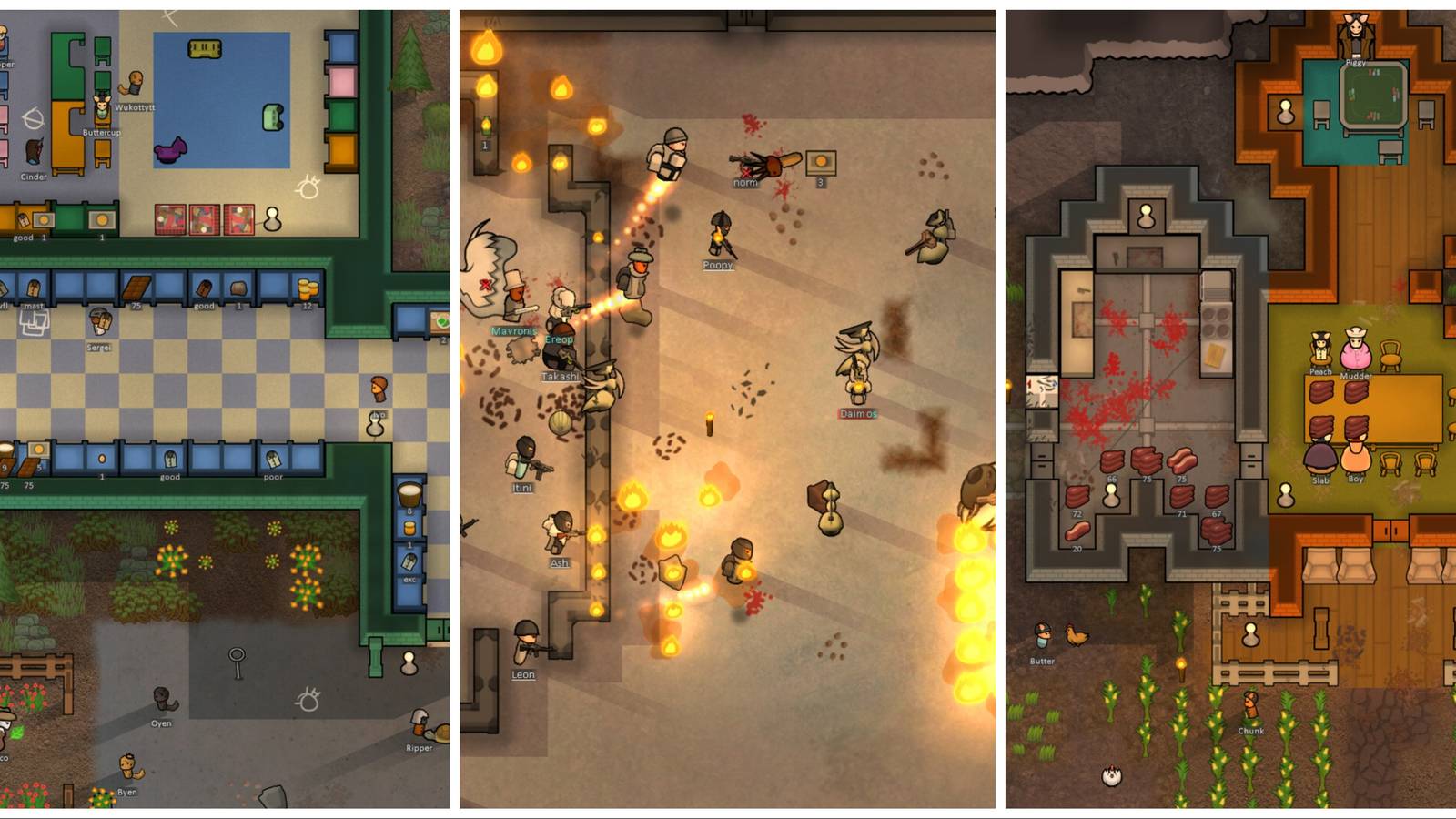 Colonies fighting and blood