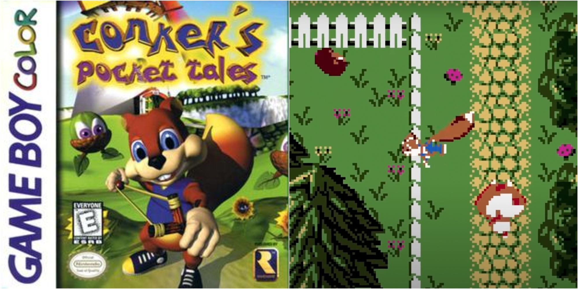 Conker's pocket tales's Game Boy Color box art, beside a top-down view of a squirrel in a blue jumper running through a field