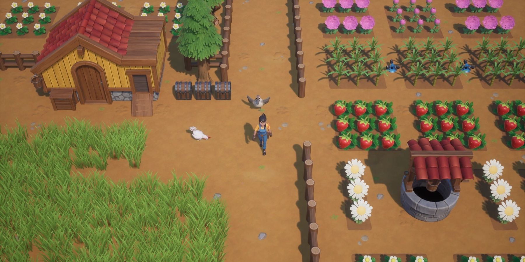 The player walking next to their farm as a duck follows