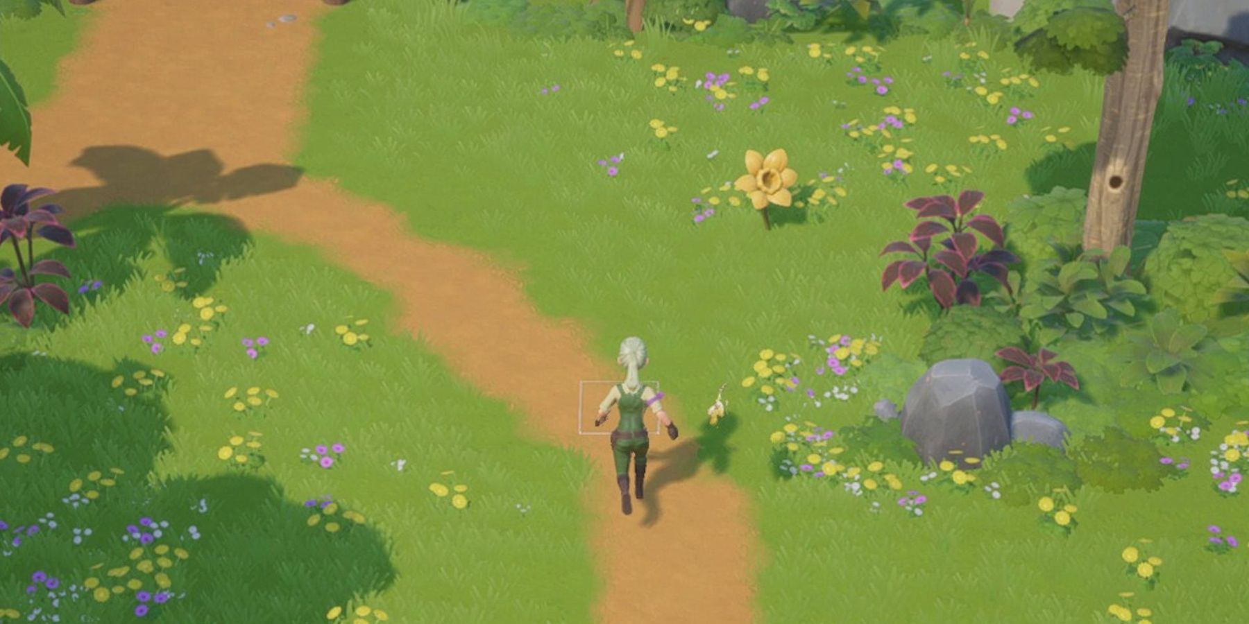 The player approaching a daffodil for foraging