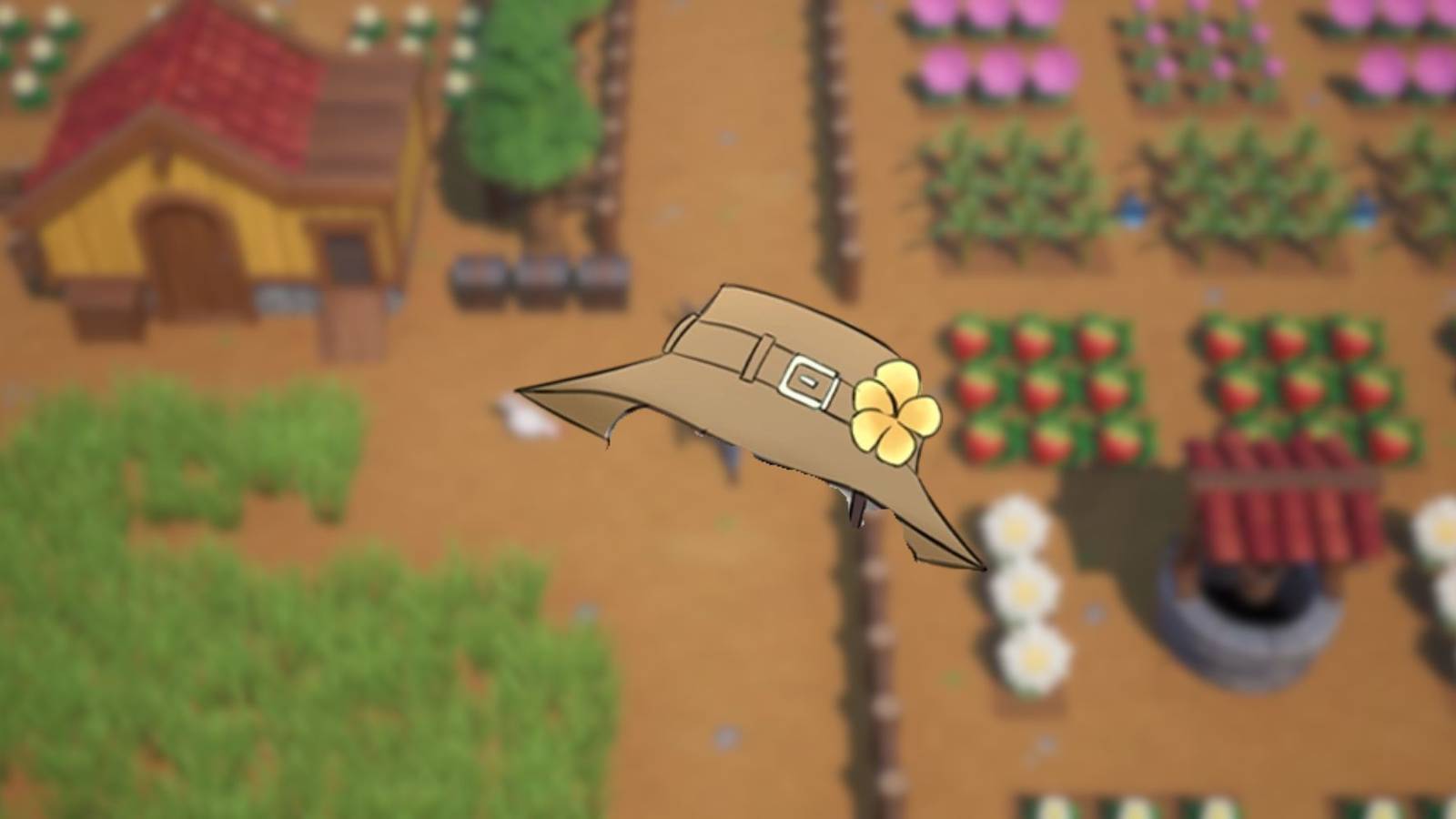 coral island mayor’s hat