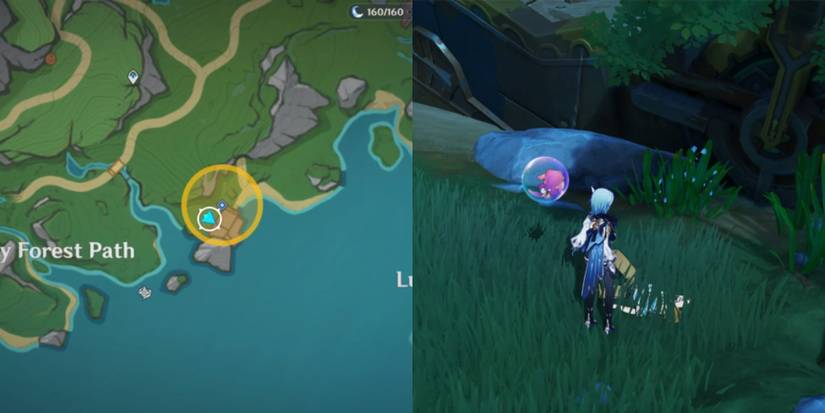 covault location in genshin impact