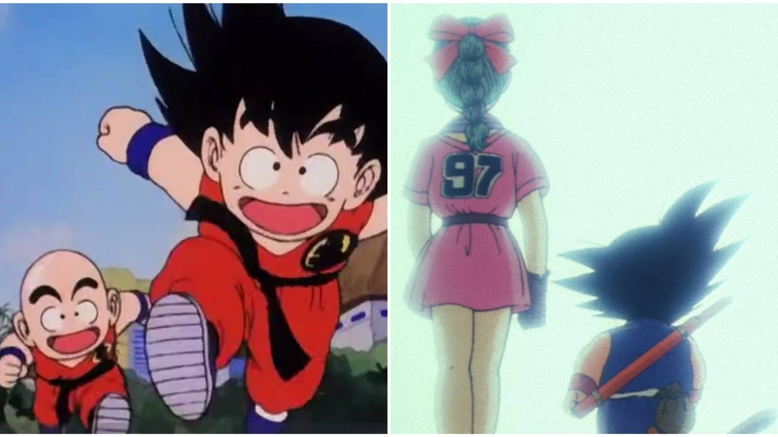 Dragon Ball Goku's Best Friends