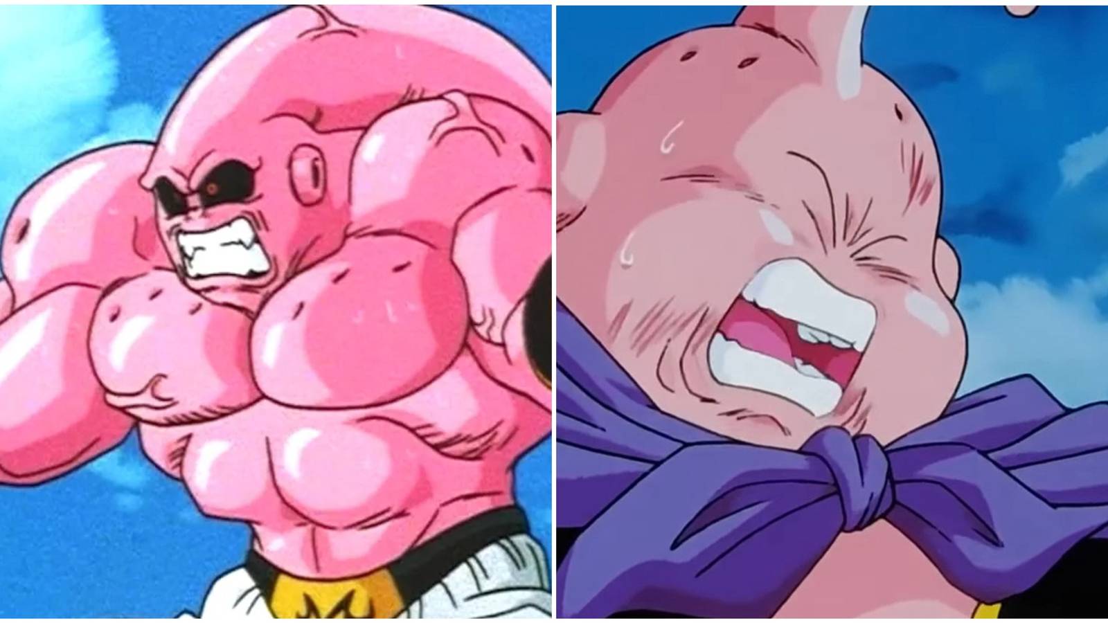 Dragon Ball Z: Majin Buu Weaknesses
