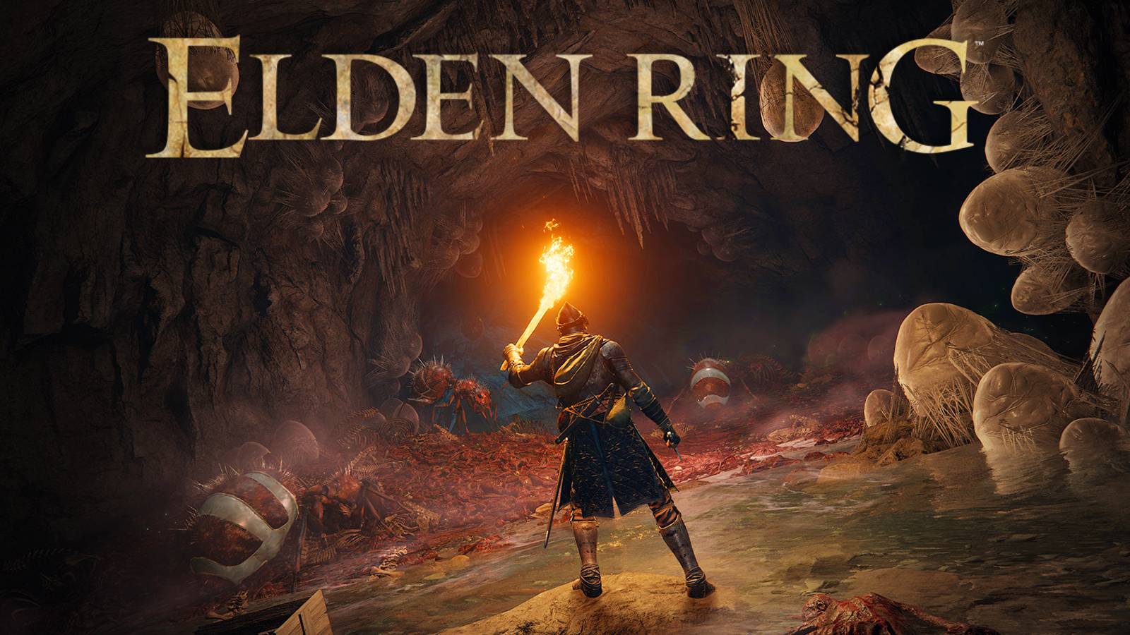 Elden Ring cave torch exploration promo screenshot with game logo