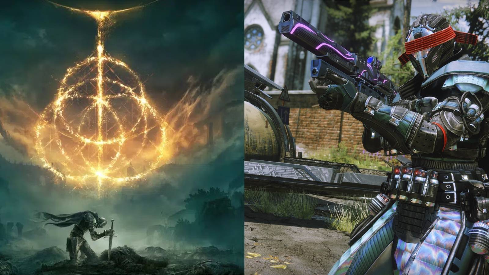 Elden Ring Destiny 2 Guardian