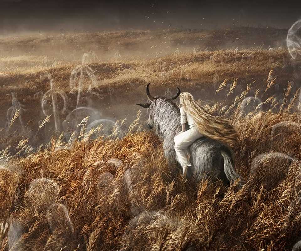 elden ring shadow of the erdtree key art