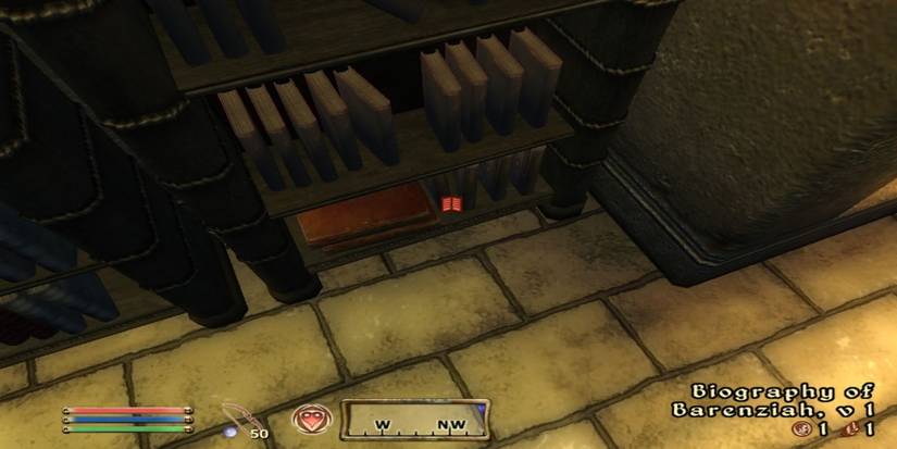 Elder Scrolls IV Oblivion - Biography of Barenziah in a bookshore