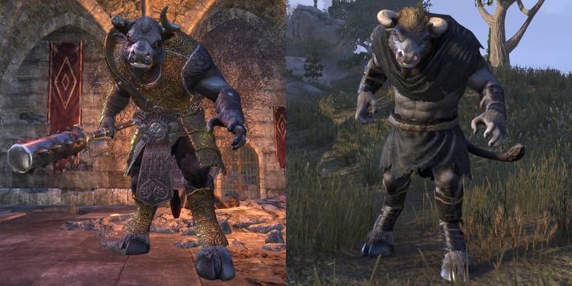 Elder Scrolls Online Minotaurs