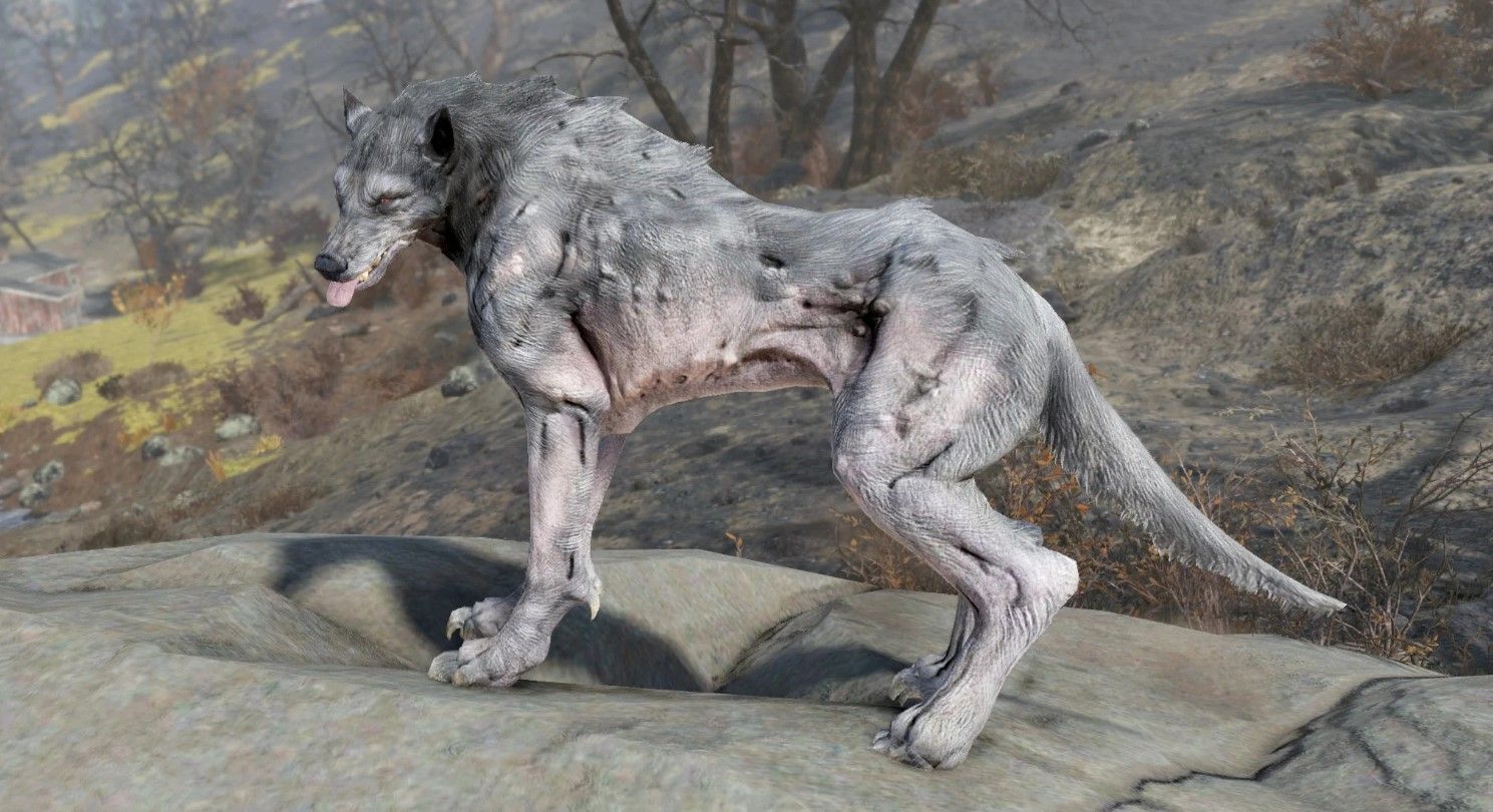 Fallout 76 Beast of Beckley Cryptid