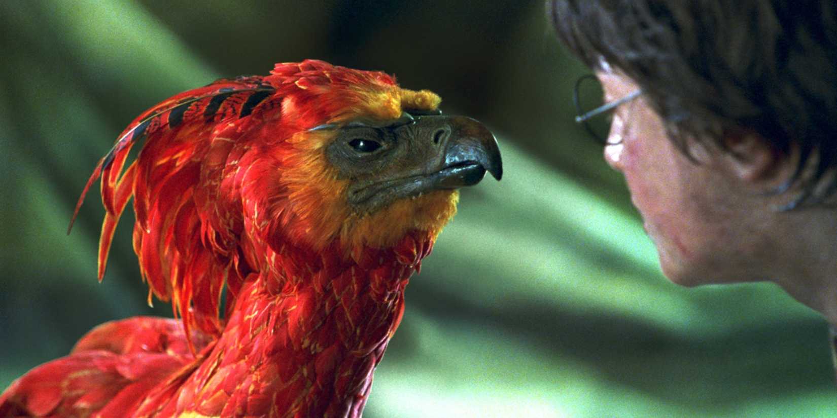 10 Strongest Magical Creatures in Harry Potter, Ranked