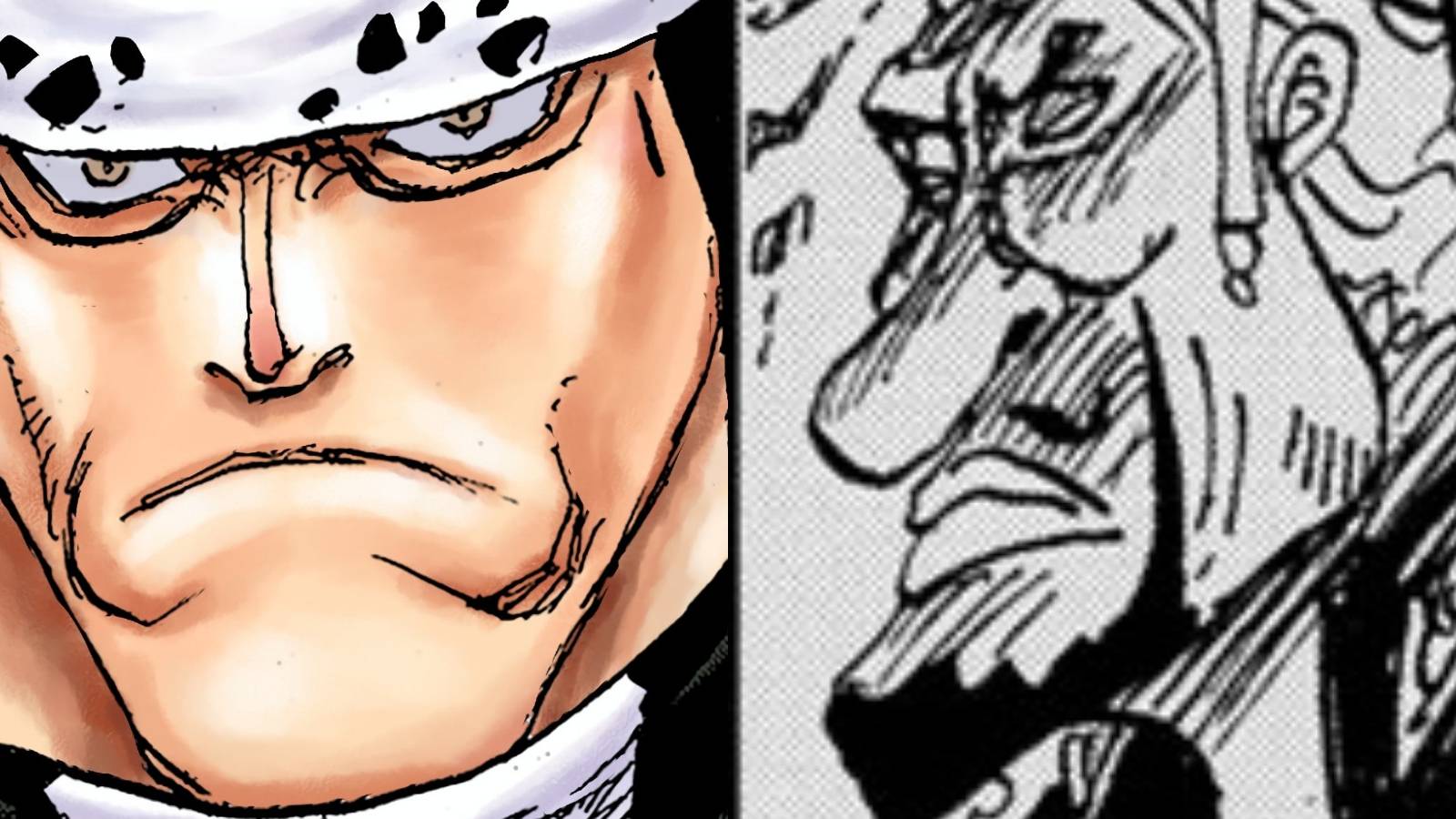 featured one piece king bekori vs Bartholomew kuma