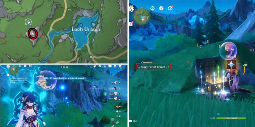foggy forest branch location 1 in genshin impact