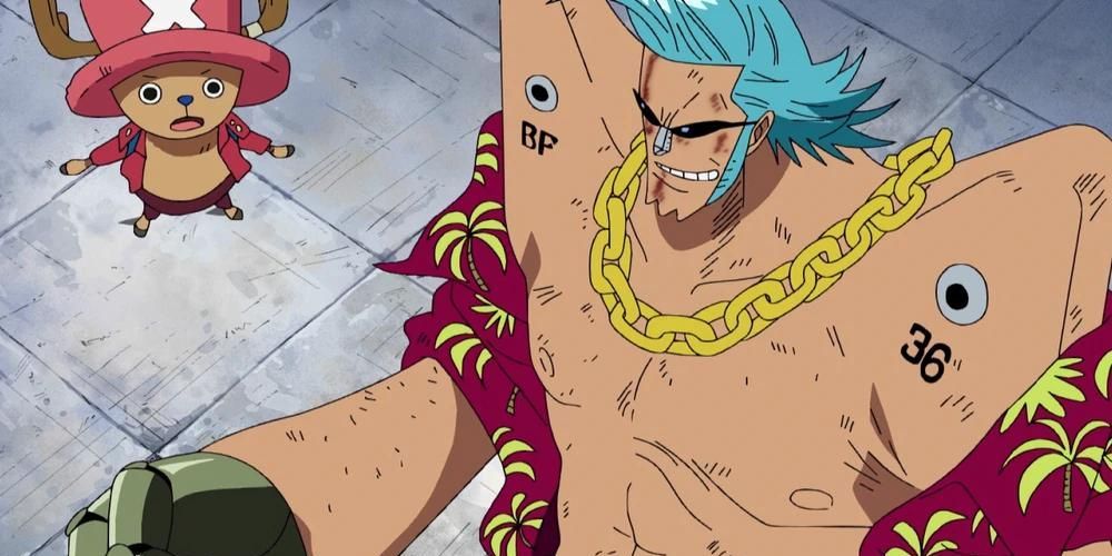 One Piece: Franky's Best Friends, Ranked