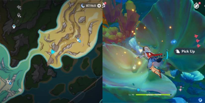 freeman's announcement treasure map location genshin impact