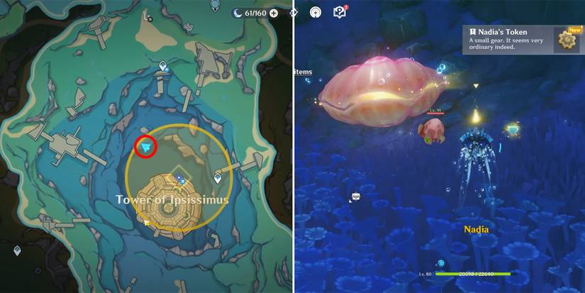 genshin impact nadia token location
