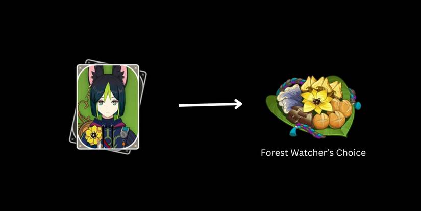 Genshin Impact- Sumeru Food Speciality DIsh 5