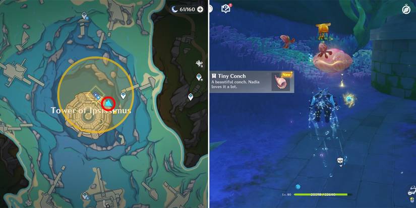 genshin impact tiny conch location