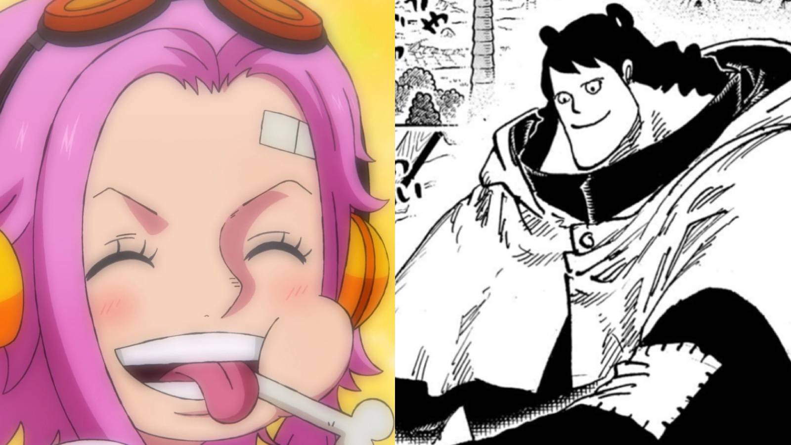 ginny and kuma one piece 1097