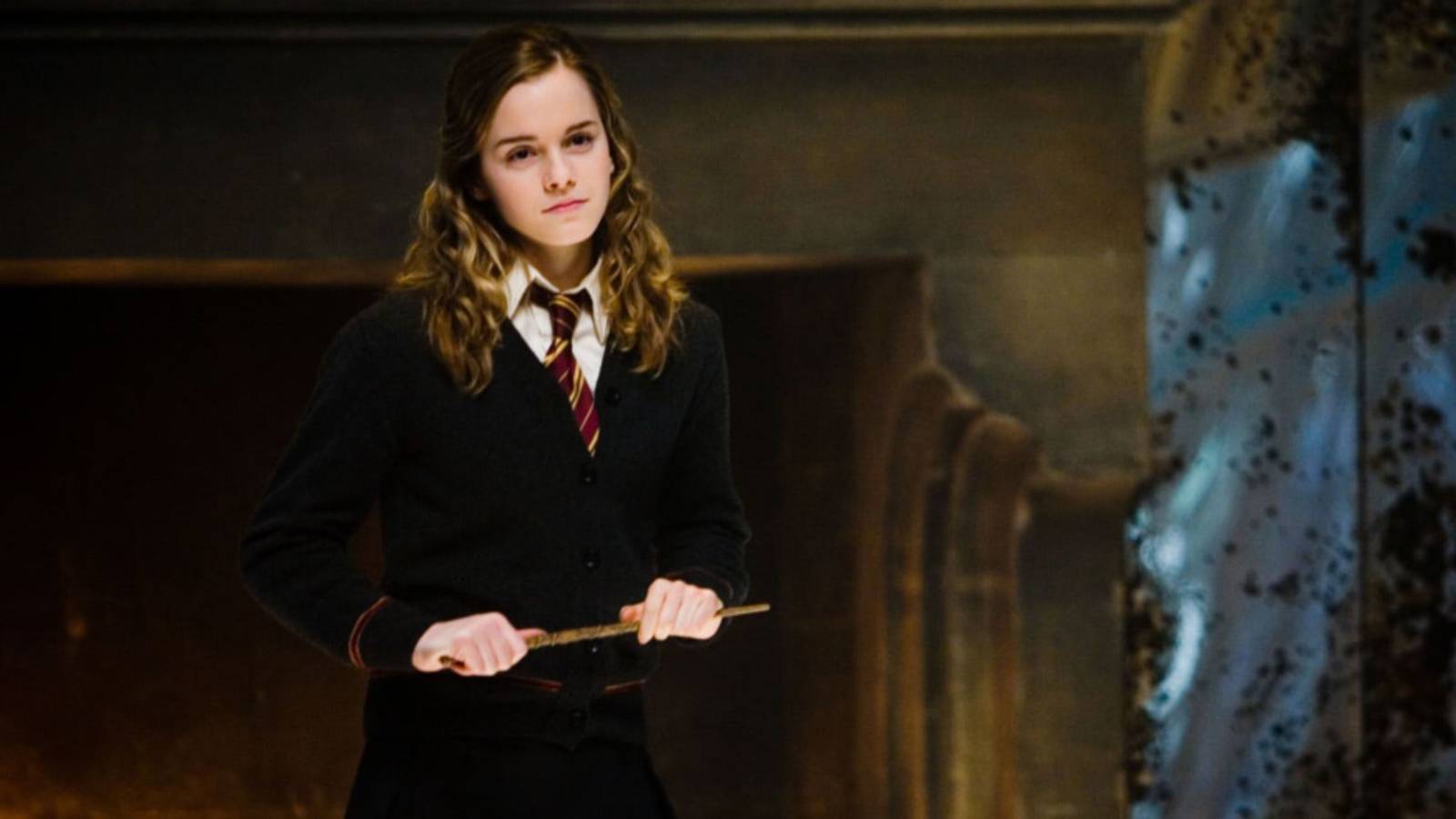 Harry Potter and the Order of the Phoenix Hermione Granger