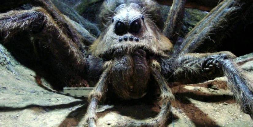 An Image of Aragog the spider in Harry Potter