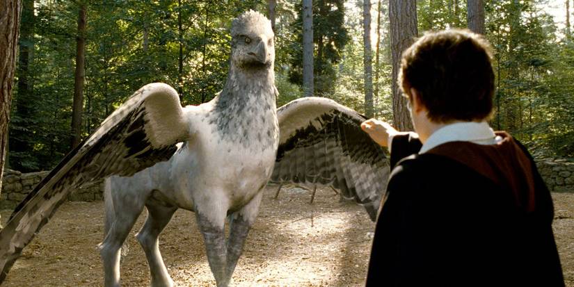 An Image of Harry Potter: Buckbeak